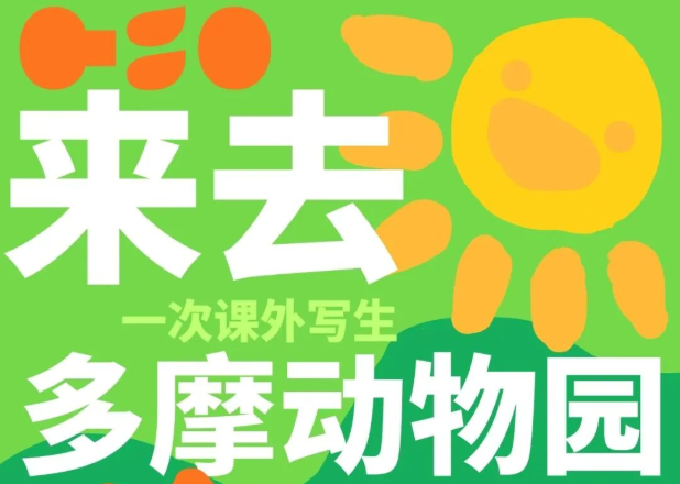 千美艺术|纯艺班-多摩动物园写生日记